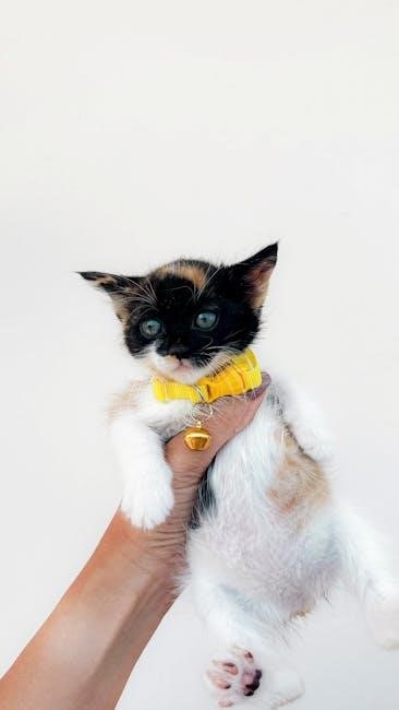 cat mate elite manual