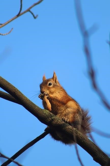 printable galveston diet pdf